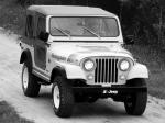 Jeep CJ-7 Renegade 1979 года